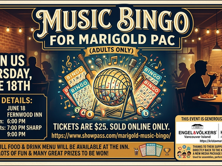 🎵12 HOURS LEFT: Help us save Music Bingo!
