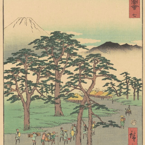 The floating world: Japanese woodblock prints