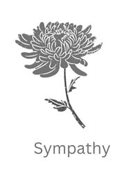 Your paragraph text_edited.jpg