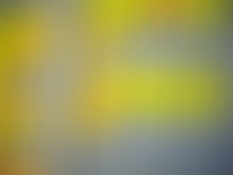 Why is a Business Plan important in 2021?