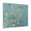 Thumbnail: Almond Blossom - Vincent van Gogh