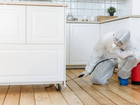 6 Challenges That Make Commercial Mold Restoration in Hall County a Tough Job