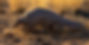 Anlea 4_edited.jpg
