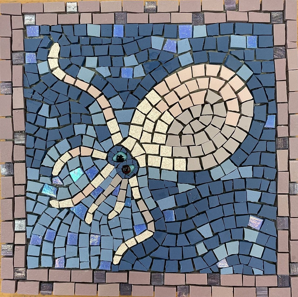 Octopus by Suzanne
