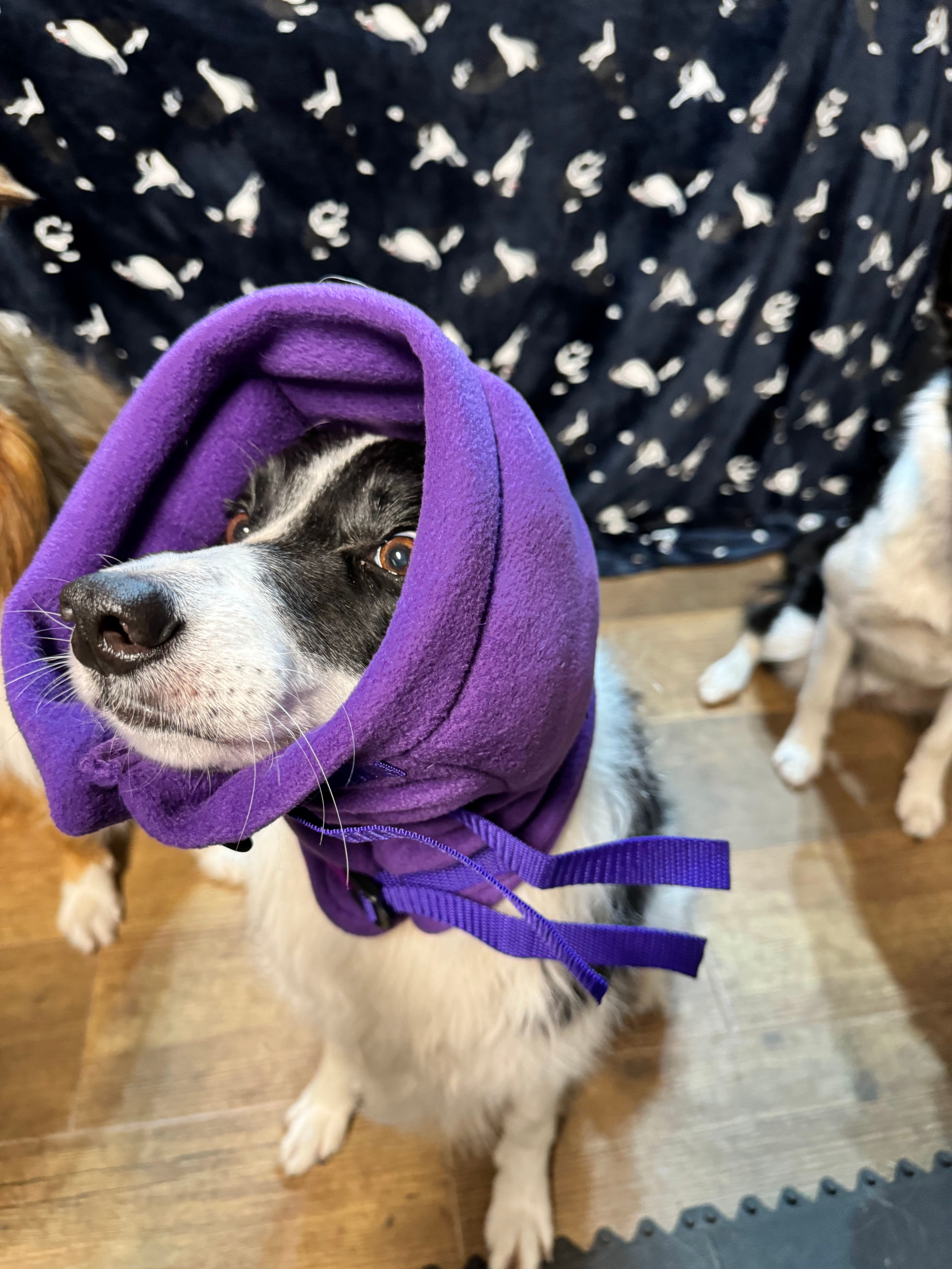 Purple Antipanic Snood for dogs
