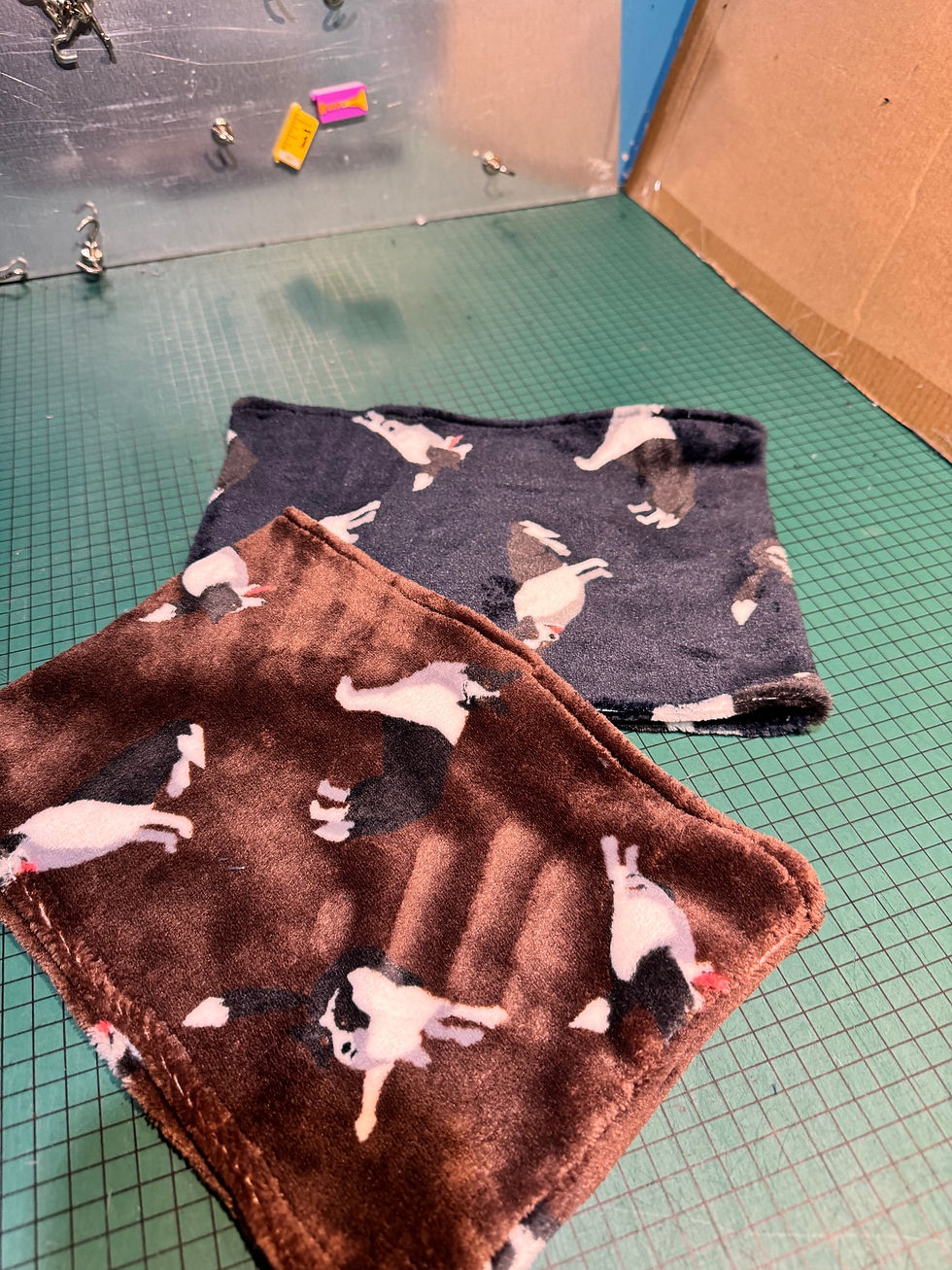 Thumbnail: Border collie blue and brown human snood