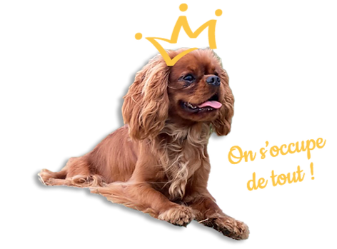 PNG_4_edited.png