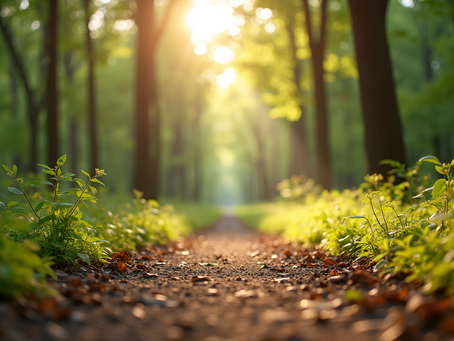 Is It Intuition or a Trauma Response Understanding Your Body's Signals