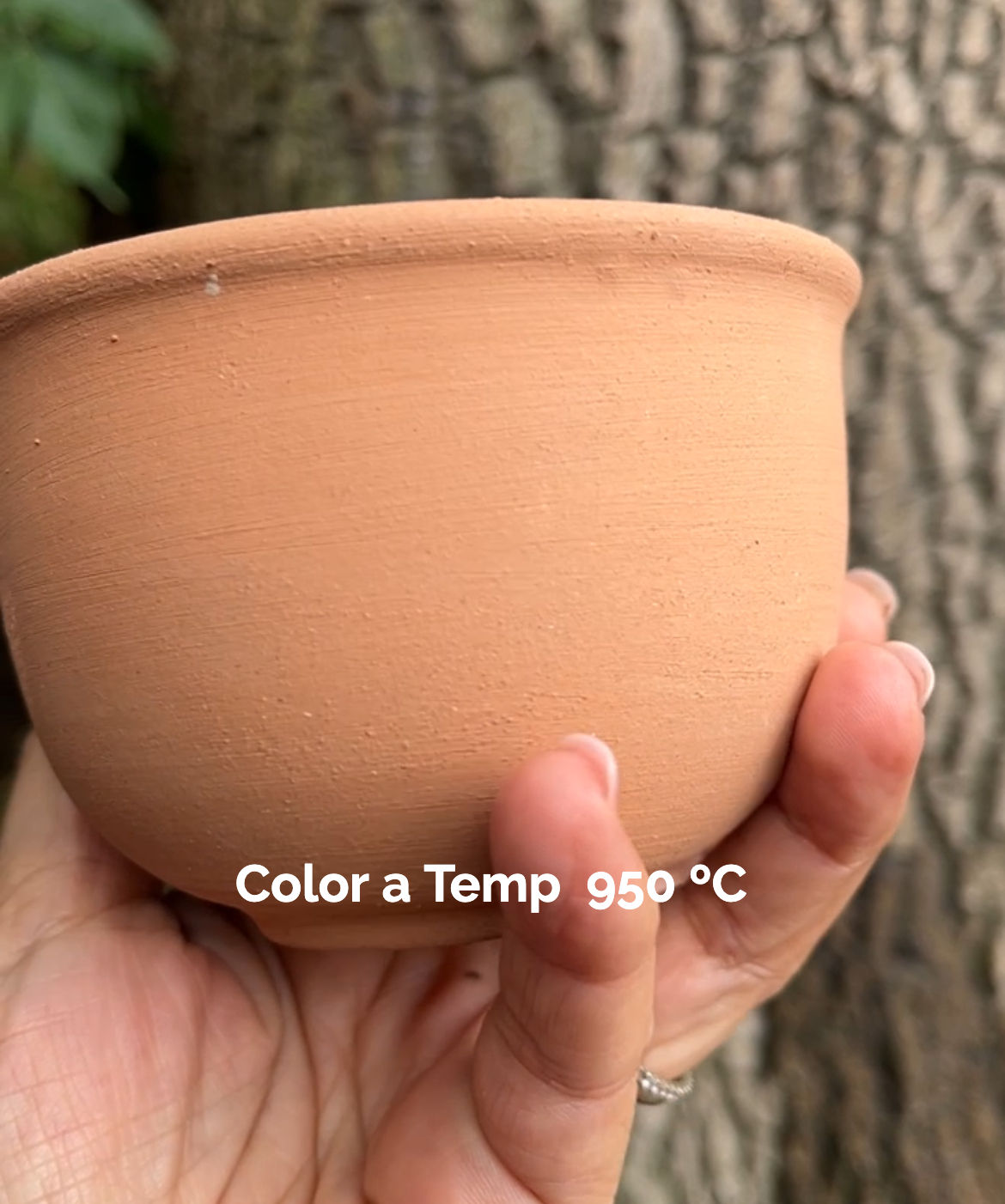 Arcilla Terracota 950 ºC a 1.150 ºC.