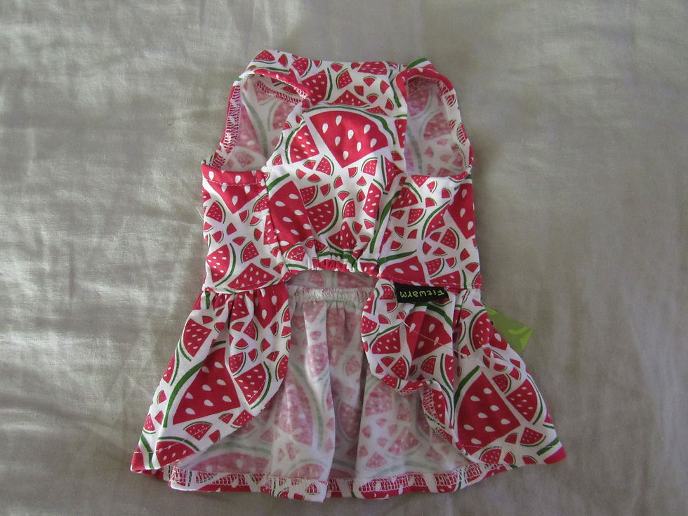 Thumbnail: Pretty Girl Watermelon Dress
