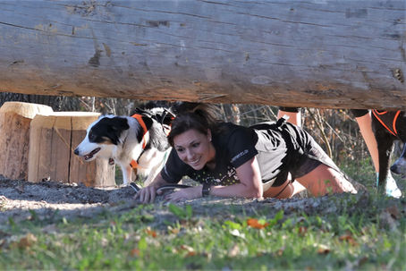 canicross hindernläufe, Hindernislauf mit hund, canicross, Strongdog, tough hunter, k9 biathlon for alle 