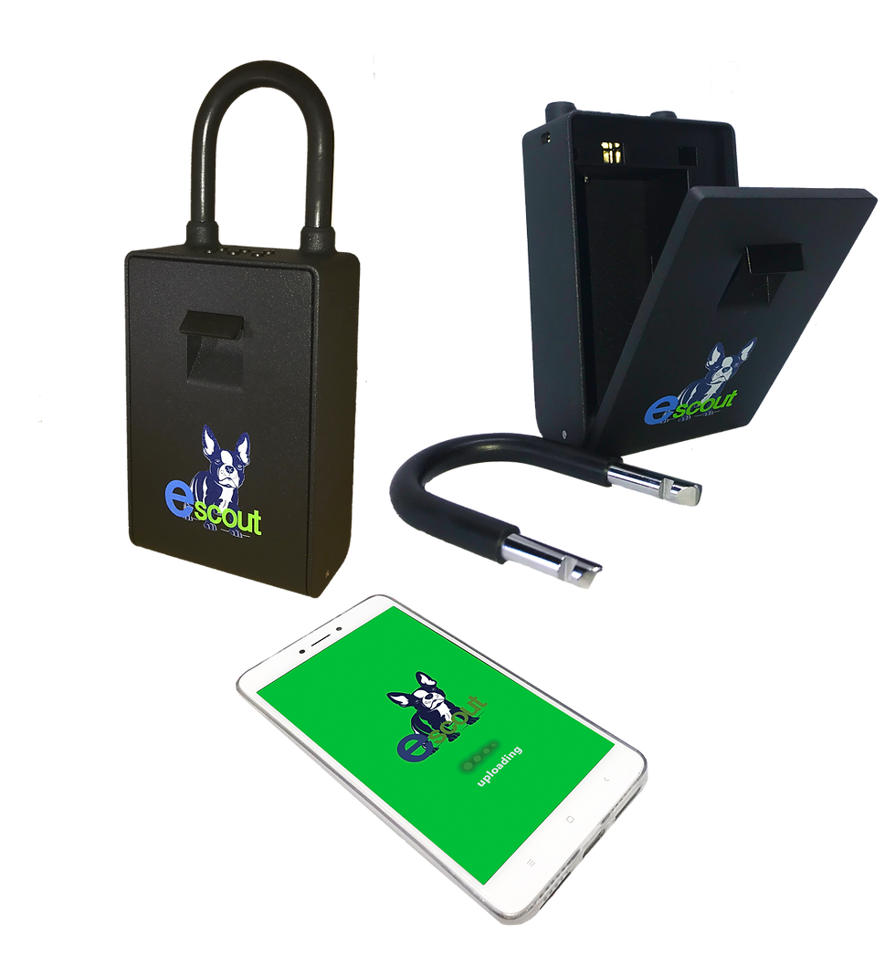 Miniatura: Caja Guardallaves Inteligente