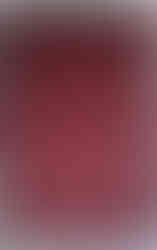 Tapis Kunduz Afghan