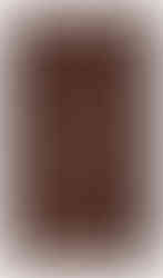 tapis bidjar en laine