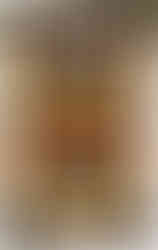 Tapis Gabbeh Afghan