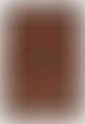 tapis persan Farahan