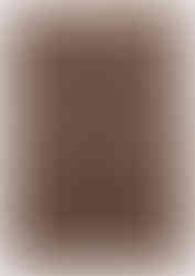 tapis persan veramine
