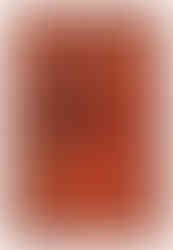 tapis gabbeh
