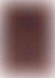 grand tapis Ardebil ancien