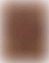 grand tapis bidjar