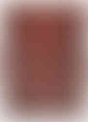 tapis sarouk