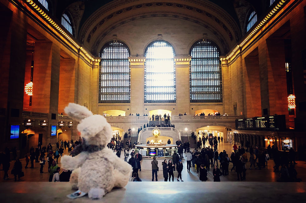 One day in New York