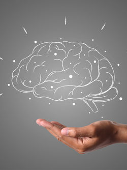 How to Train your brain to Think in New Ways