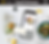 TranerizexForgedPerformancebyTLOFit.png