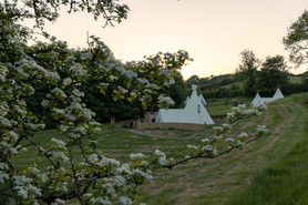 Glamping Tipis - North Devon - Dusk