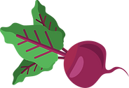 vegetables and fruit-02.png