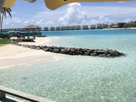The Maldives - Paradise...Literally!