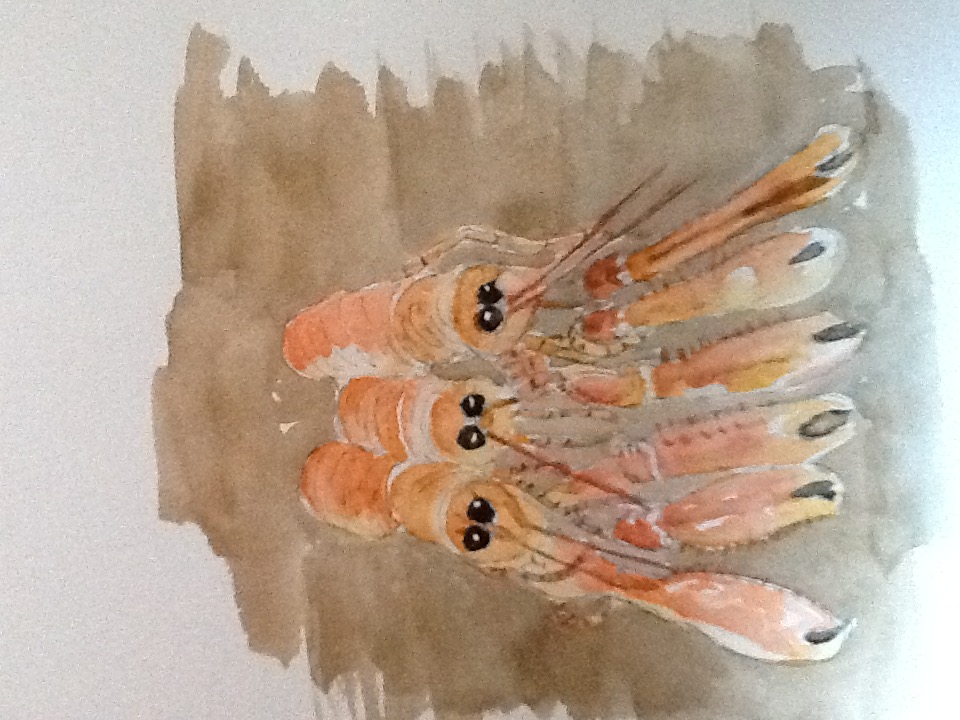 image11