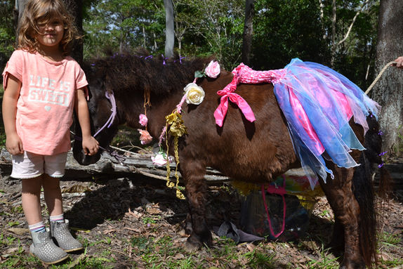 Equine Therapy Cairns child and Ra Ra individual session