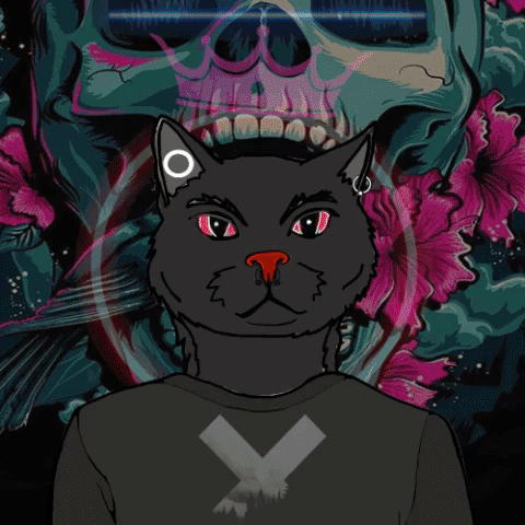 giphy (2).gif
