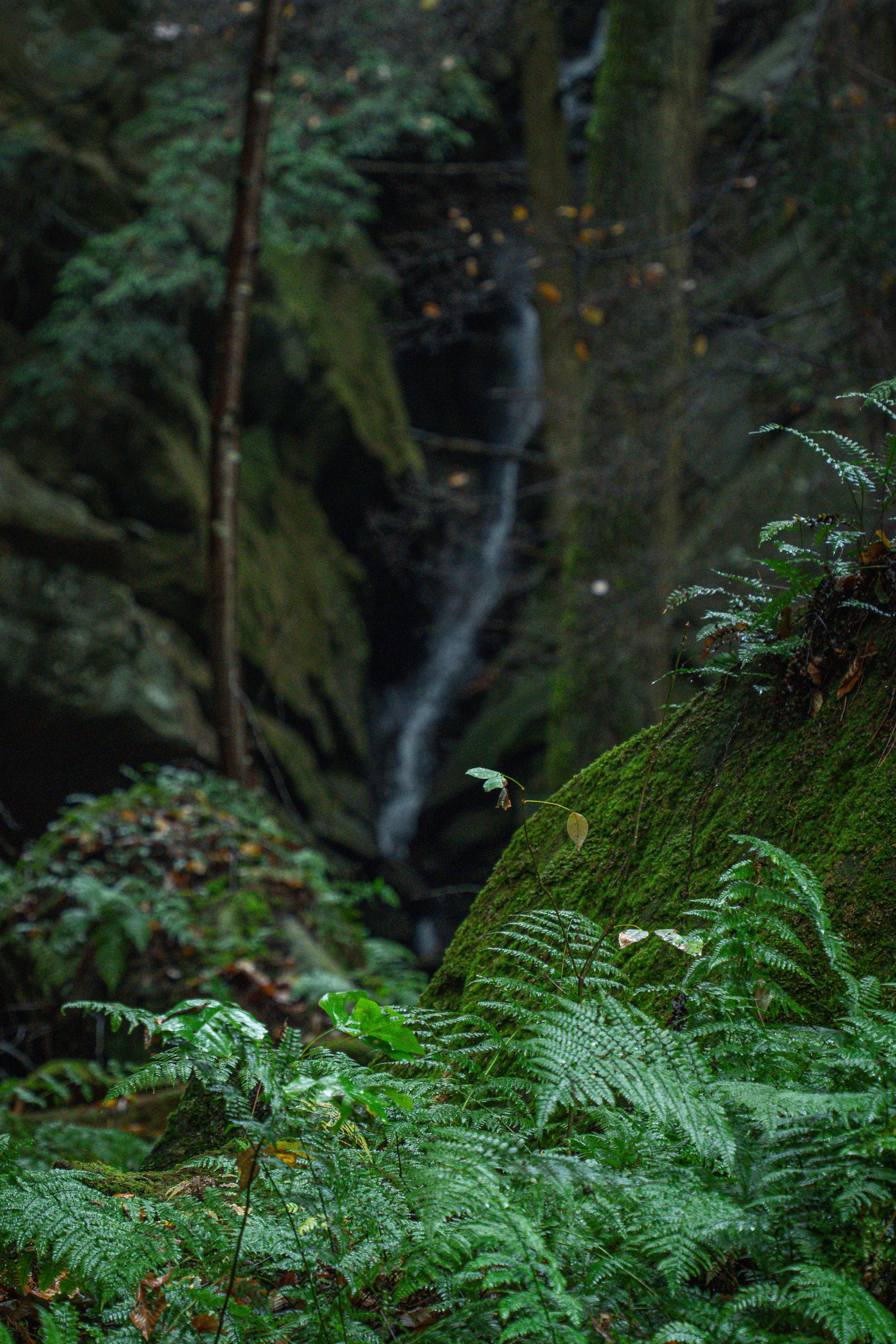 Hocking Hills: Broken Rock Falls