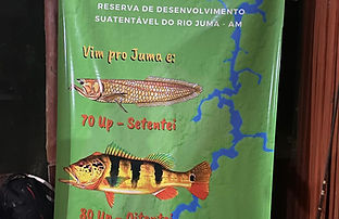 clube da pesca amazon juma lodge