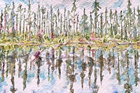 Reflections