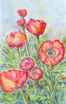 Poppy Love - watercolour pens with ink