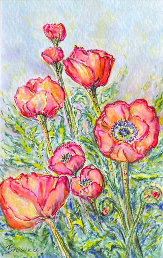 Poppy Love
