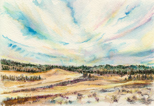 Early Winter Field and Sky: Item # - A2