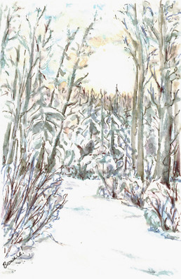 The Frozen Snow-Covered Creek