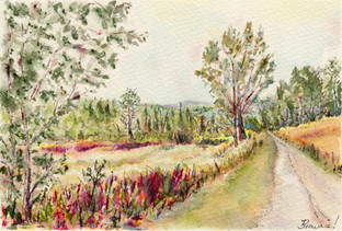 Early Autumn Along Mountain Road: Item # - A20