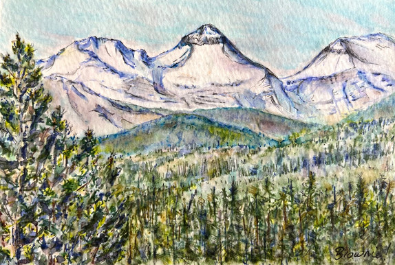 Banded Peak and Friends - watercolour pens with ink