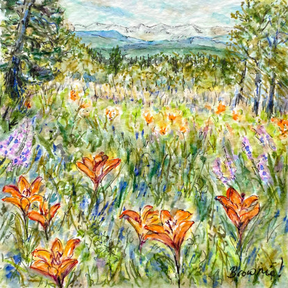 Lilies on the Hill