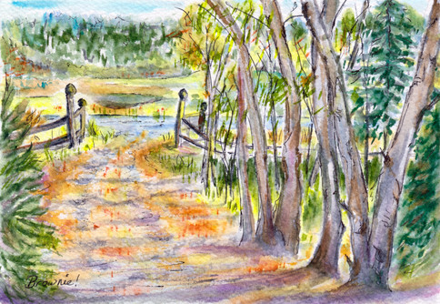 The Driveway in Autumn
