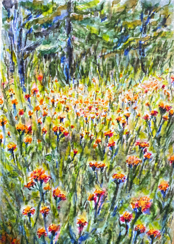 In the Meadow: Item # - A58