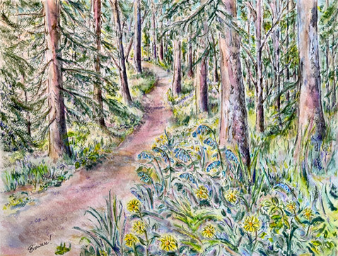 A Walk in the Woods - watercolour pens with ink