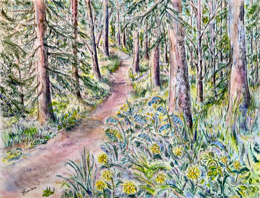 A Walk in the Woods