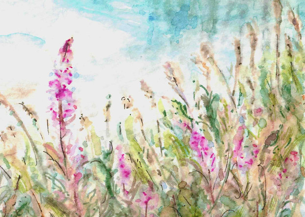 Fireweed by the Lake: Item # - A30