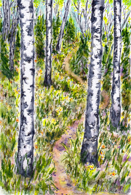 On the Ridge in Summer